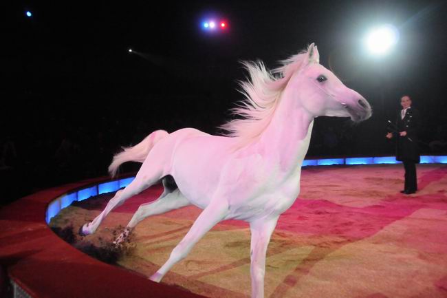 2012_02_01__01775.jpg