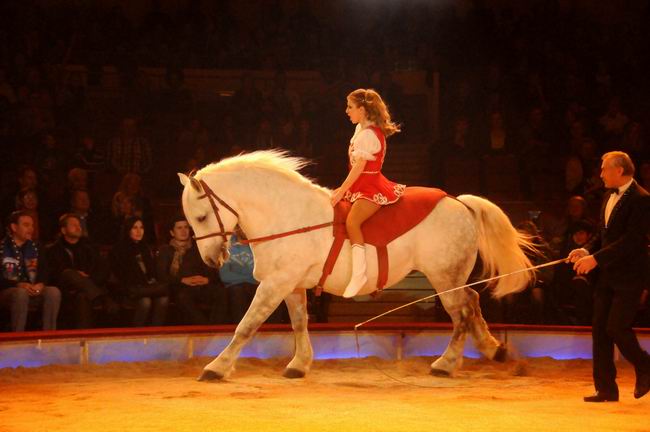 2012_02_01__03795.jpg