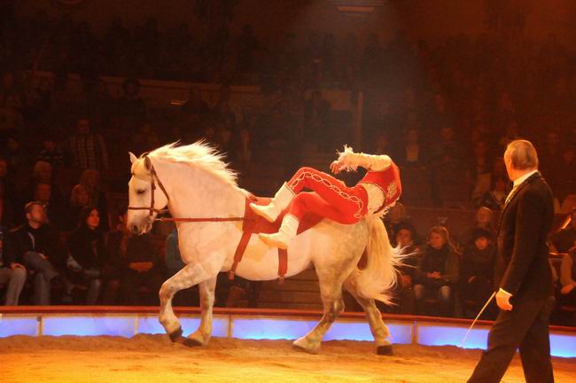 2012_02_01__03925.jpg
