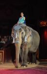 2012_02_01__00961.jpg