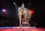 2012_02_01__00984.jpg