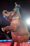 2012_02_01__01058.jpg
