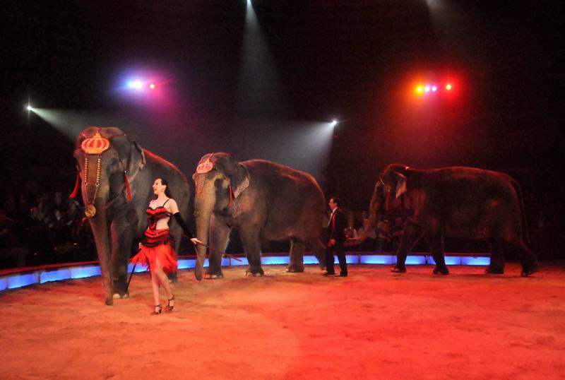 2012_03_01__00660.jpg