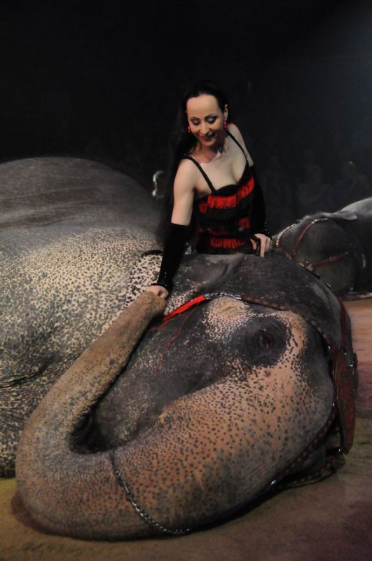 2012_03_01__00708.jpg