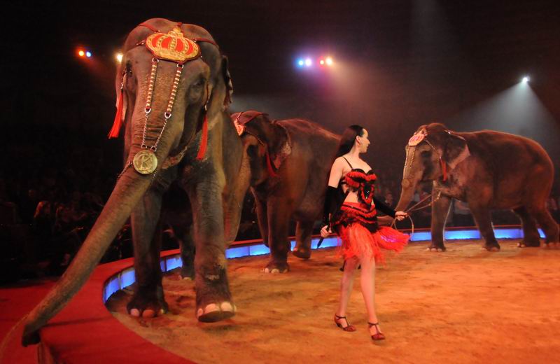 2012_03_01__00796.jpg