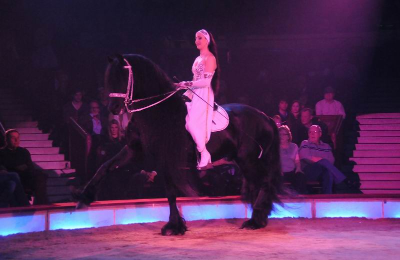 2012_03_01__01606.jpg