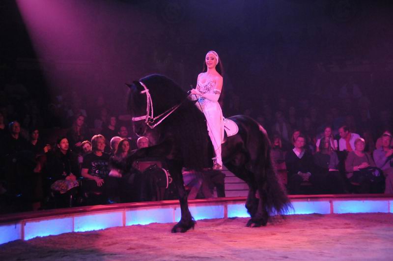 2012_03_01__01607.jpg