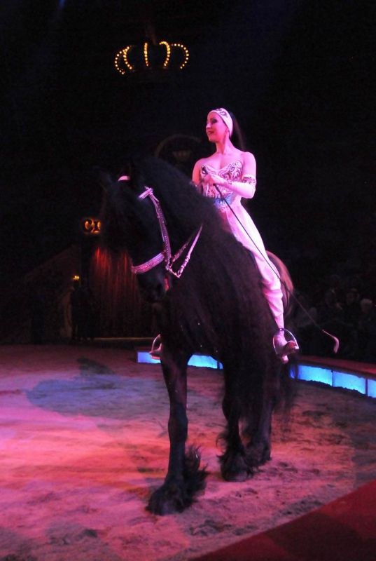 2012_03_01__01673.jpg