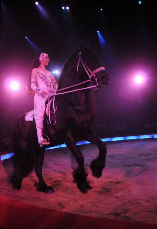 2012_03_01__01711.jpg