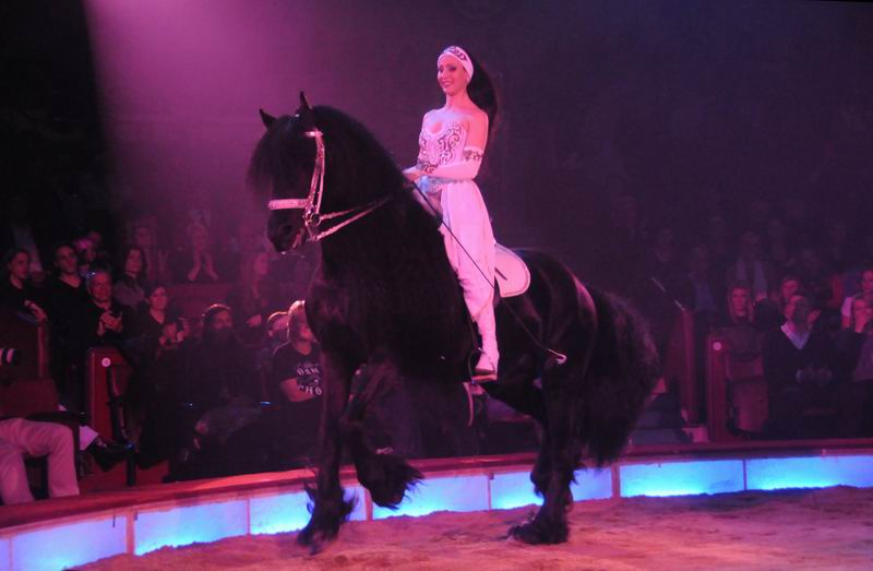 2012_03_01__01735.jpg