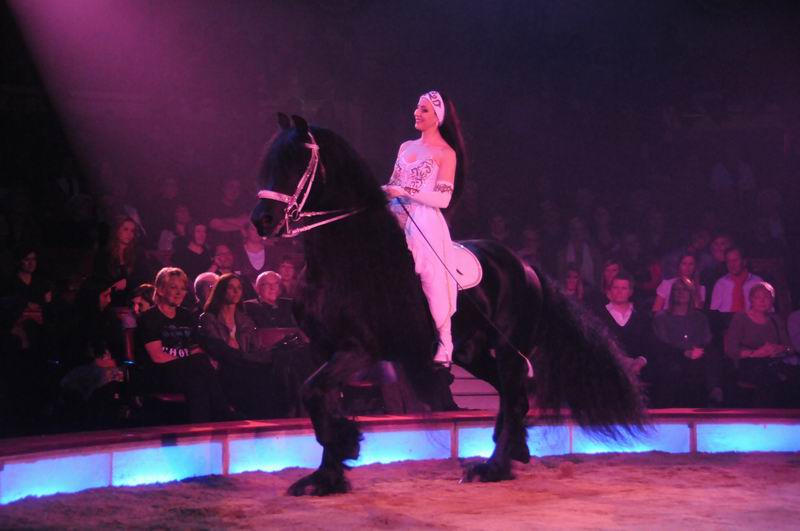 2012_03_01__01764.jpg