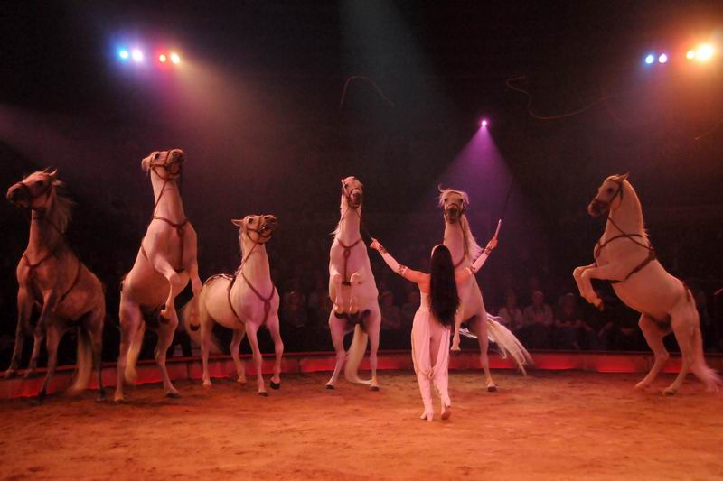2012_03_01__01940.jpg