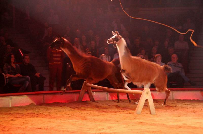 2012_03_01__01966.jpg