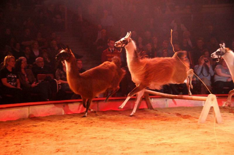 2012_03_01__01968.jpg