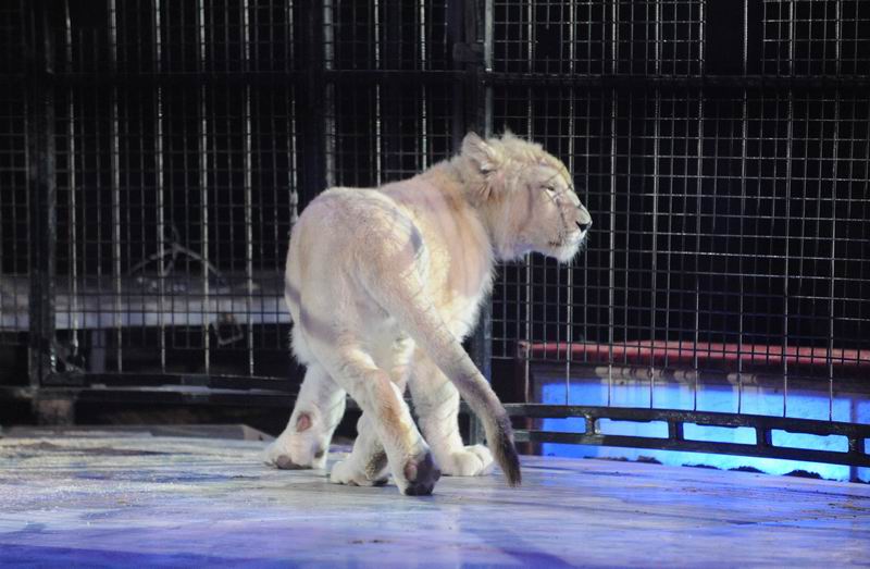 2012_03_01__02462.jpg