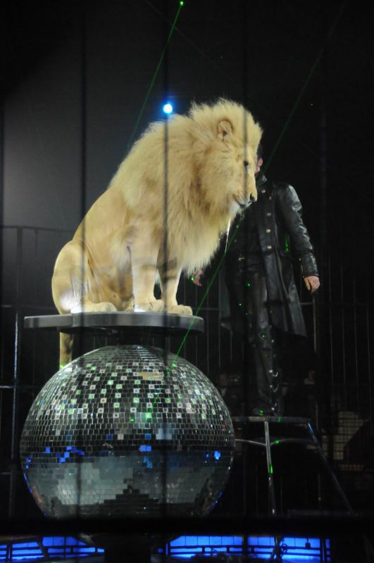 2012_03_01__02658.jpg