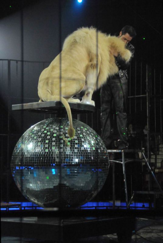2012_03_01__02674.jpg