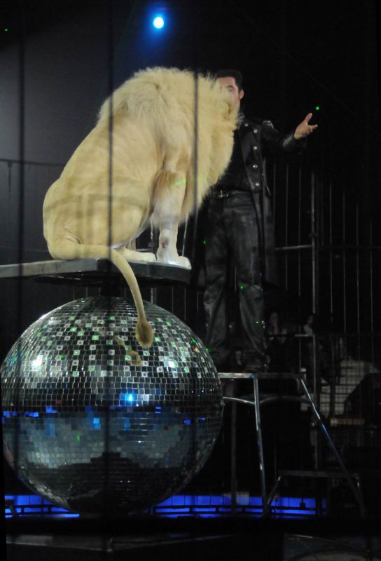 2012_03_01__02675.jpg