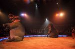 2012_03_01__00734.jpg