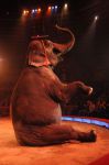 2012_03_01__00735.jpg