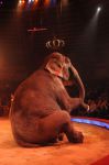 2012_03_01__00738.jpg