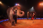 2012_03_01__00742.jpg