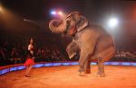 2012_03_01__00763.jpg
