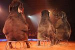 2012_03_01__00824.jpg