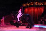 2012_03_01__01595.jpg
