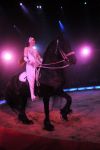 2012_03_01__01713.jpg