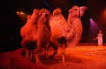 2012_03_01__01836.jpg