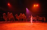 2012_03_01__01847.jpg