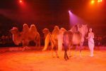 2012_03_01__01873.jpg
