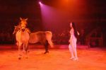 2012_03_01__01886.jpg