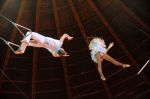 2012_03_01__02267.jpg