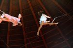 2012_03_01__02268.jpg
