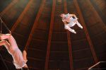 2012_03_01__02294.jpg