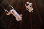 2012_03_01__02295.jpg