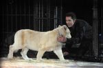 2012_03_01__02610.jpg