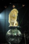 2012_03_01__02628.jpg