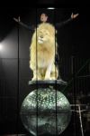 2012_03_01__02629.jpg