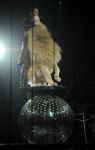 2012_03_01__02632.jpg
