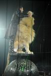 2012_03_01__02633.jpg