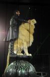 2012_03_01__02634.jpg