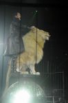 2012_03_01__02635.jpg