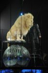 2012_03_01__02658.jpg