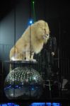 2012_03_01__02660.jpg