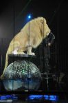 2012_03_01__02661.jpg