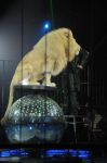 2012_03_01__02662.jpg