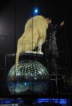 2012_03_01__02663.jpg